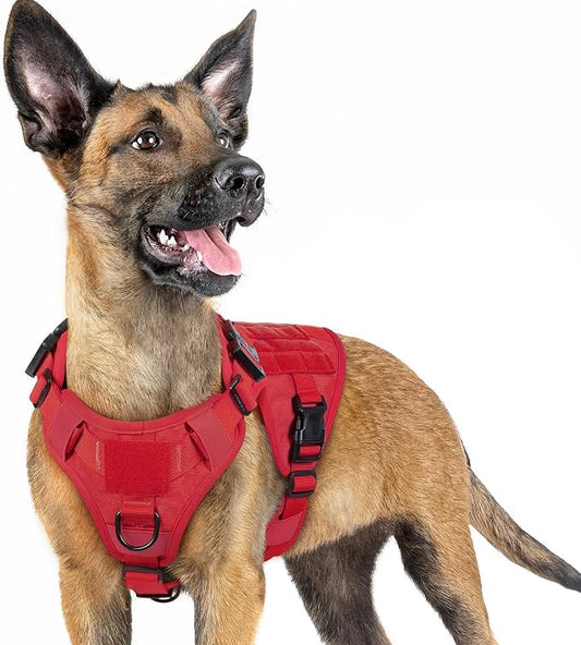 rabbitgoo Tactical Dog Harness for Small, Heavy Duty Military No Pull Vest | Sturdy Metal Buckles, 5 Adjustments, Molle System, Powerful Pullers for Training, Hunting, Outdoor, Red, Small