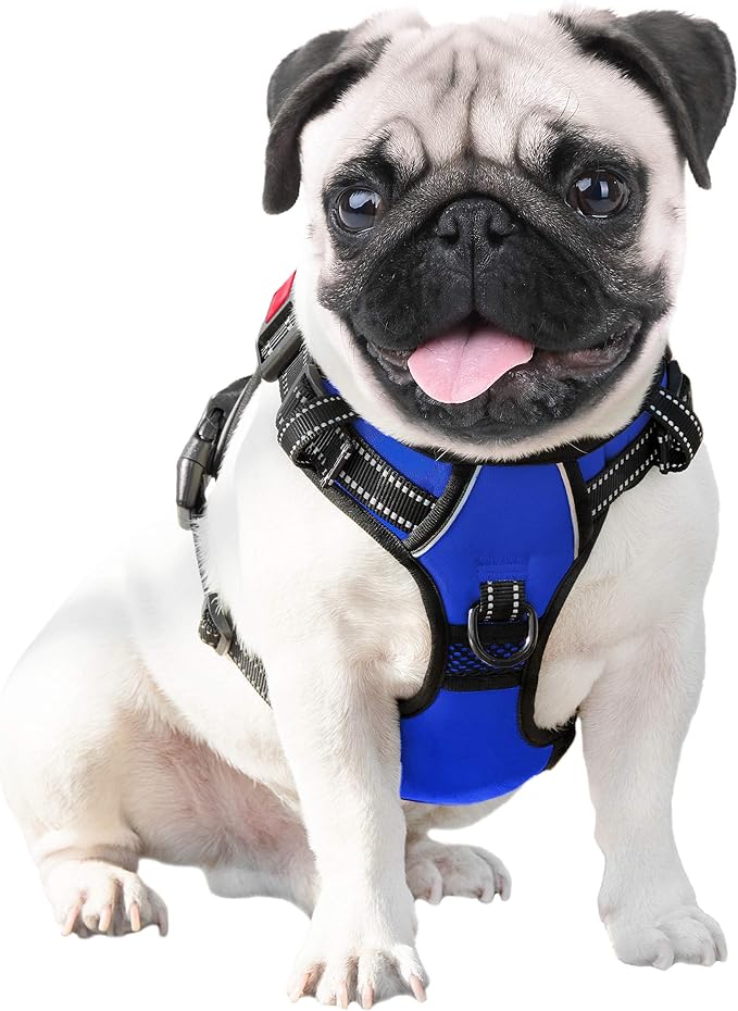 No Pull Dog Harness Medium Reflective Front Clip Vest with Handle | Adjustable 2 Metal Rings 3 Buckles,[Easy to Put on & Take Off](XS, Royal Blue)