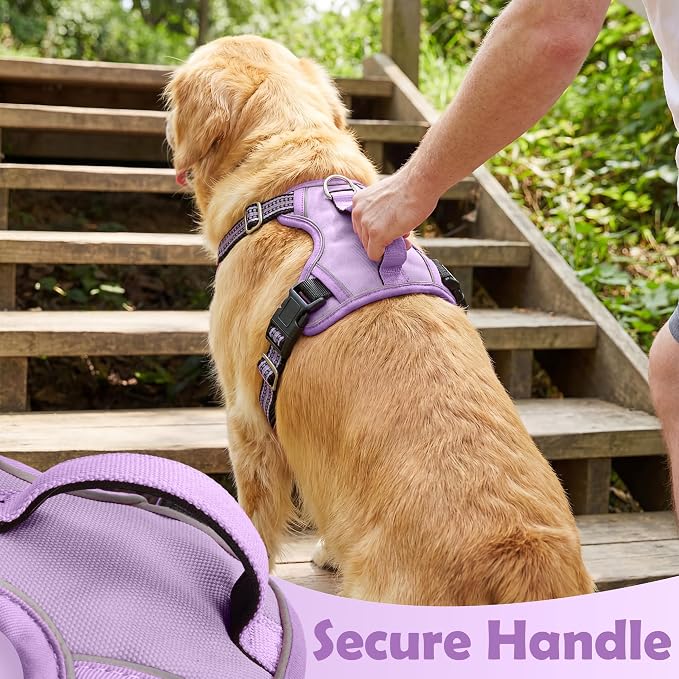 Dog Harness No Pull, Adjustable Pet Vest Harness, Super Soft Material with Vertical Handle Easy Control, Reflective Night Walking, 2 Leash Clips for Medium Sized Dogs, Purple, M