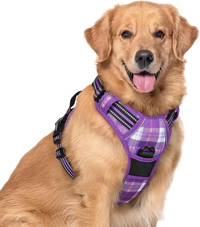 rabbitgoo Dog Harness, No Pull for Large Dogs with 2 Leash Clips, Pet Vest | No Choke with Handle, Adjustable Soft Padded, Reflective, Easy Control for Walking, Purple Plaid, X-Large