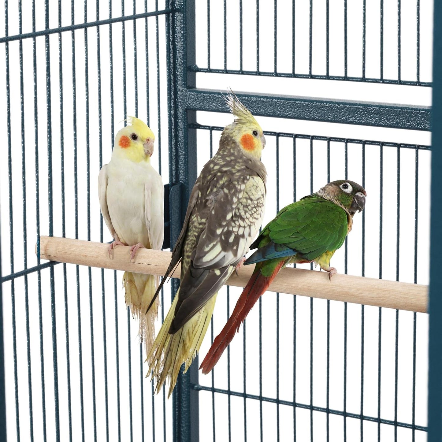 Yaheetech 54inch Metal Large Parrot Parakeet Flight Bird Cage w/Rolling Stand for Small Parrots Cockatiel Sun Parakeet Green Cheek Conure Lovebird Budgie Finch Canary