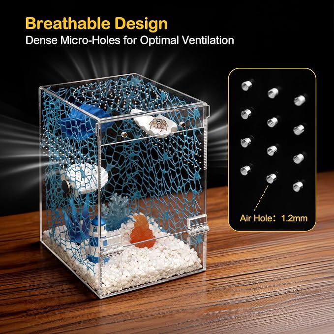 Jumping Spider Enclosure Starter Kit,Escape Proof Ocean Terrarium | Praying Mantis Terrariums,Transparent Acrylic Complete Bug Habitat,All In One Arboreal Tarantula Cribs Cage,Insect Container