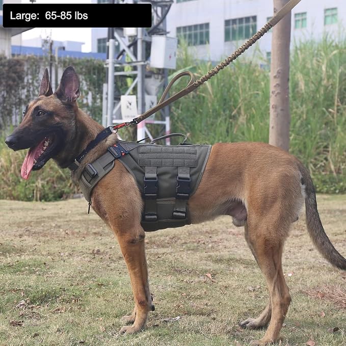 ICEFANG No Pull Tactical Dog Harness for Large Dogs,Adjustable Dog Vest | Control Handle,MOLLE Panel,Front Hook,3 Leash Clips,Soft Padded,for walking training,Green,Large