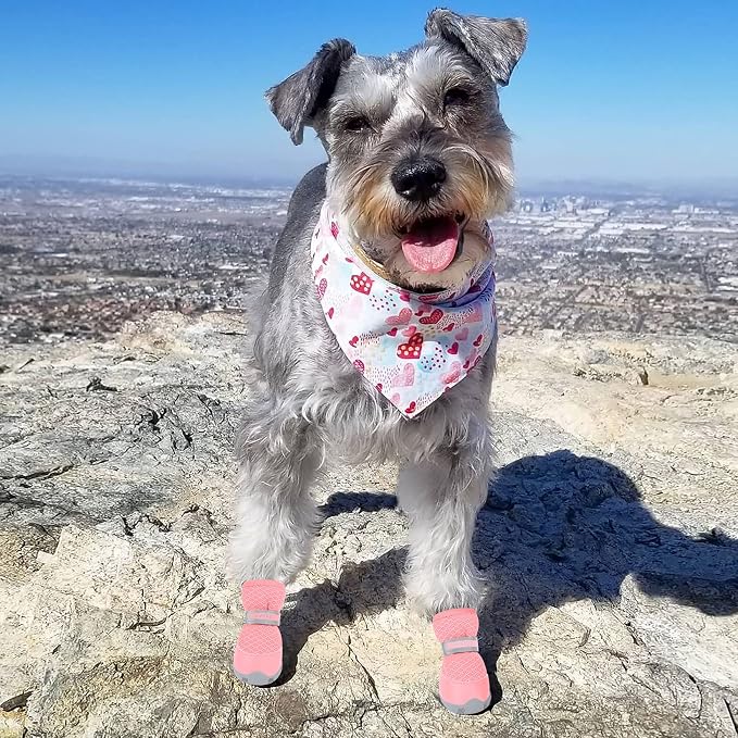 QUMY 4PCS Dog Shoes for Small Dogs, Hot Pavement Summer Puppy Dog Boots & Paw Protectors with Soft Anti-Slip Rubber Sole, Mesh Breathable Dog Booties for Hardfloors, Walking Running Pink Size 3