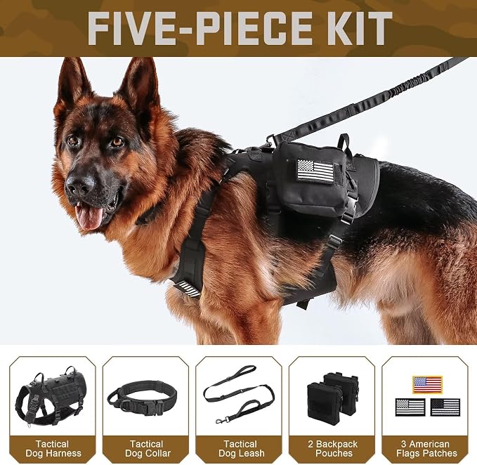 Forestpaw Tactical Dog Harness Collar Bungee Leash Set,L,Black | Adjustable Fits 27-40" Chest,70-140 lbs,No Pull Control Military,Quick Release Buckle,Walking Training for Medium Large Dogs