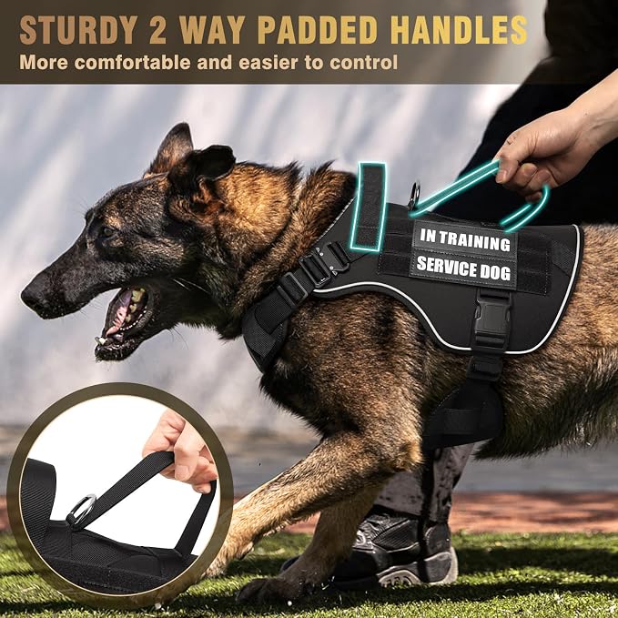 2X Metal Buckle Service Working MOLLE Dog Vest with 10 Pet Patches | Tactical Dog Harness for Large Dog, No-pull Military Working Vest for Training Hunting Walking，2x D Rings for Leash Clip