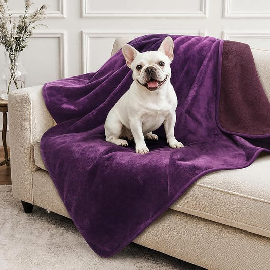 LOOBANI Waterproof Dog Blanket for Small Dogs, Pet Blanket 30" x 40" Purple | Double Side Liquid-Proof, Puppy Blanket for Dog Cat Bed, Crate, Playpen, Reversible Soft Flannel Couch Cover Throw