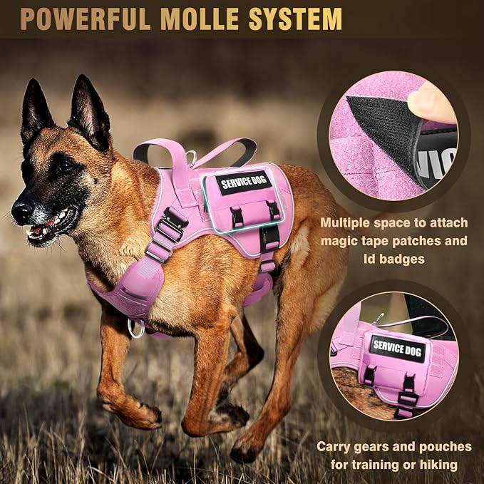 2X Metal Buckle Service Working MOLLE Dog Vest with 10 Pet Patches | Tactical Dog Harness for Medium Dog, No-pull Military Working Vest for Training Hunting Walking，2x D Rings for Leash Clip