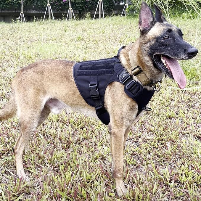 ICEFANG Tactical Dog Harness,for X-Large Dogs,Reflective No Pull Dog Vest | with Control Handle, Adjustable,Front Hook,2 Leash Clips,No Choke,Soft Padded,MOLLE Panel,Black,X-Large