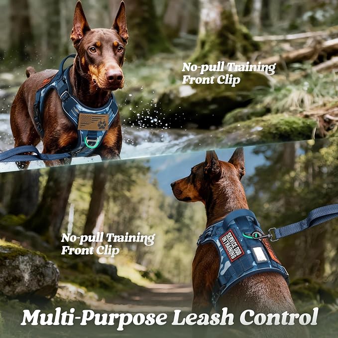 rabbitgoo Tactical Dog Harness for Large Dogs, No Pull Service Pet Vest | Military Molle System & Easy Control Handle, Adjustable and Reflective for Walking and Training, Blue Camo, Large