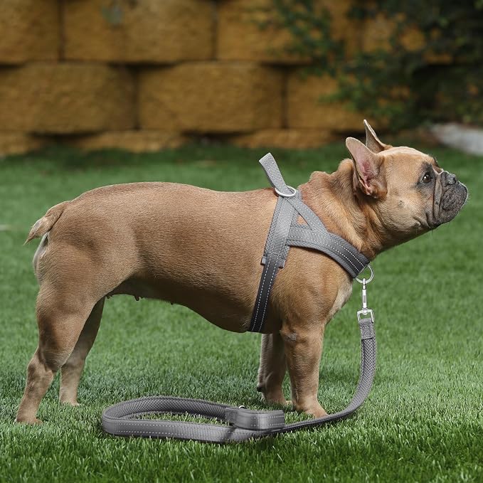 Plutus Pet No Pull Dog Harness for Large Dogs, Breathable Mesh Padded | Adjustable Reflective with Handle, Escape Proof, Quick Fit Pet Vest, Front Clip, for Training and Walking, Gray, L