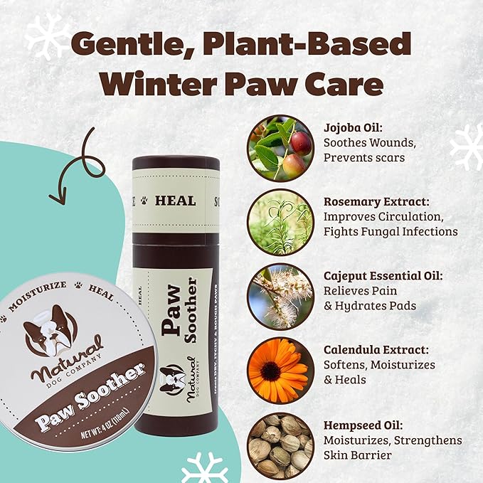 Natural Dog Company Paw Soother Balm & Wax - Dog Paw Balm & Moisturizer for Dry, Cracked Paw Pads, Helps Moisturize & Condition Winter-Worn Paws, Coconut Oil & Calendula, Daily Paw Care, 1 oz Tin