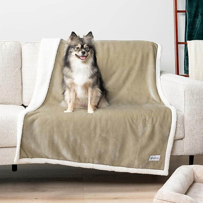 PetAmi Waterproof Dog Blanket for Medium Large Dog Puppy Cat Throw for Couch Cover Leakproof Protection, Sherpa Fleece, Reversible Soft Washable 60x40 Taupe