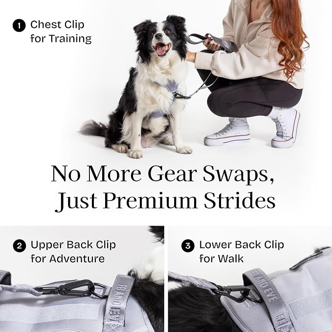 Fei & Eve Classic Dog Harness, MagEase Magnetic Buckle | 3-Point No-Pull Control, Dual Handle Support, 900D Nylon, Tactical Patch Panel, Heavy Duty, X-Large, Gray