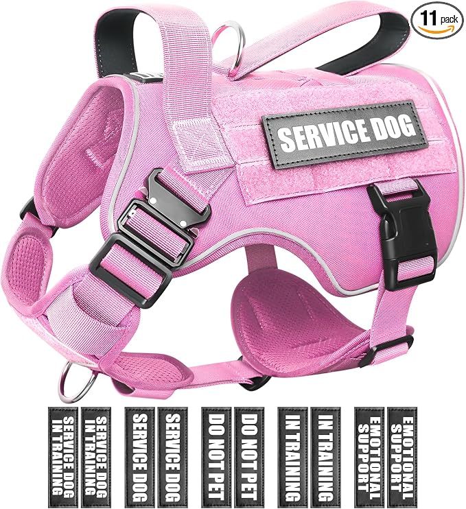 2X Metal Buckle Service Working MOLLE Dog Vest with 10 Pet Patches | Tactical Dog Harness for Medium Dog, No-pull Military Working Vest for Training Hunting Walking，2x D Rings for Leash Clip