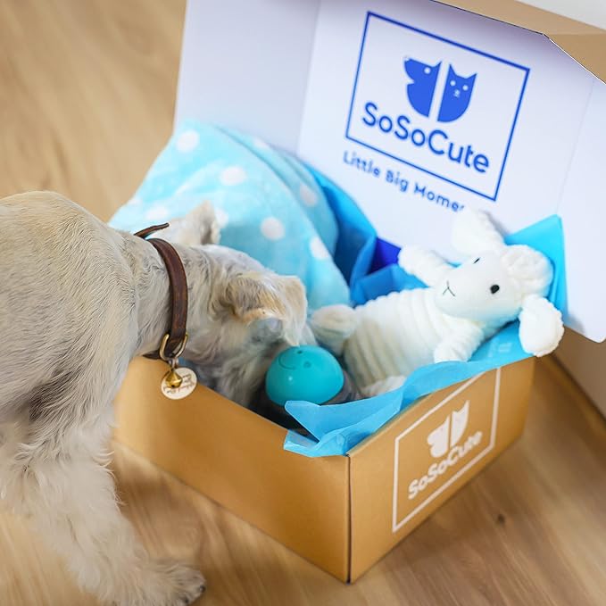 SoSoCute Blue Dog Gift Box - Puppy Chew Toy Set of 5 - Care Package with Dog Blanket, Squeaky Plush, Rubber Puppy Teether, Teething Ball, and Treat Ball for Small and Medium Dogs