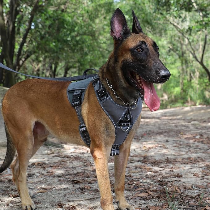 ICEFANG Quick-Moving Tactical Dog Harness for Medium Dogs,No Pull Dog Vest | Control Handle,Reflective,Full Metal Buckles,Adjustable,Hook-and-Loop Panel,Soft Padded,Grey,Medium