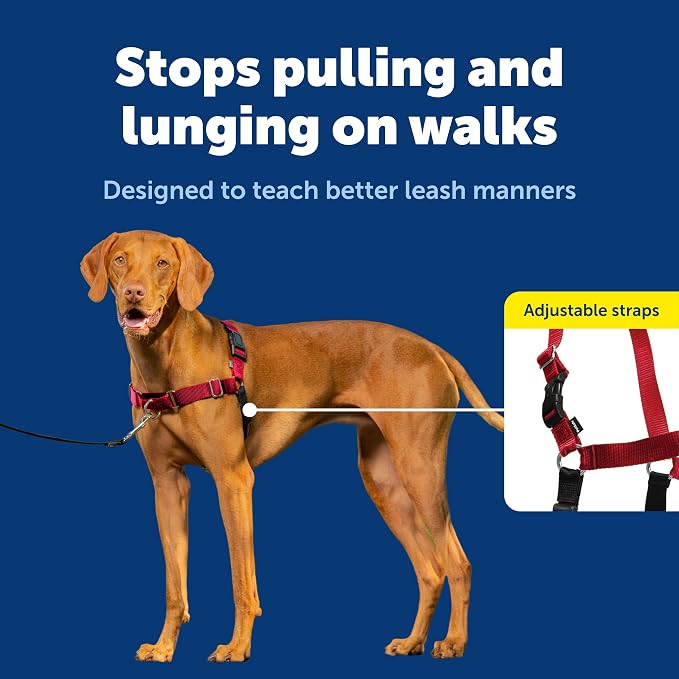 PetSafe Easy Walk Harness for Dogs - Pull-Free Walks - Patented Martingale Loop Design - Front Chest Leash Attachment - Comfort Straps - Breathable Harness Design - Medium, Red/Black | Patented Martingale Loop Gives Gradual Shoulder Pressure to Stop Pu...