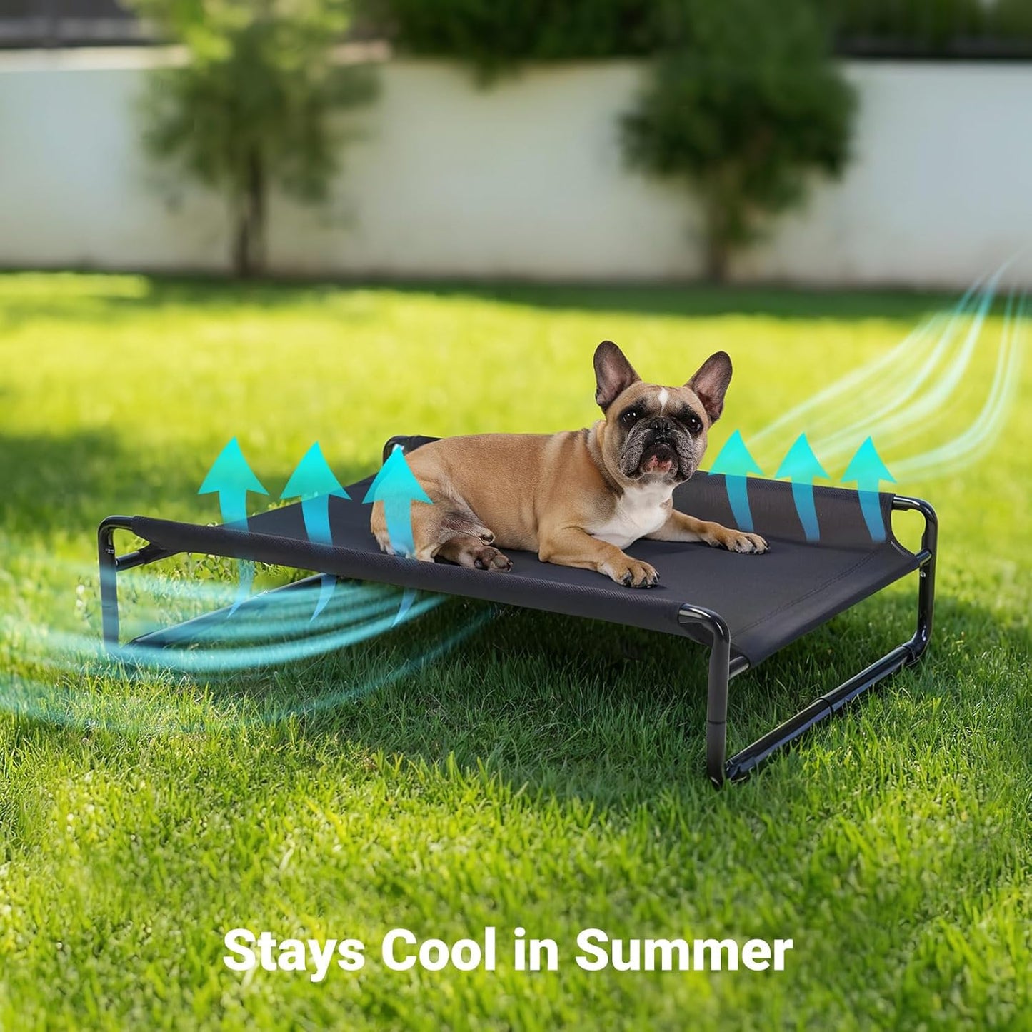 Veehoo Original Outdoor Elevated Dog Bed, Cooling Raised Dog Cot for Medium Dogs, Portable Standing Pet Hammock Platform with Washable Breathable Mesh, No-Slip Feet, Medium, Black, CWC2201