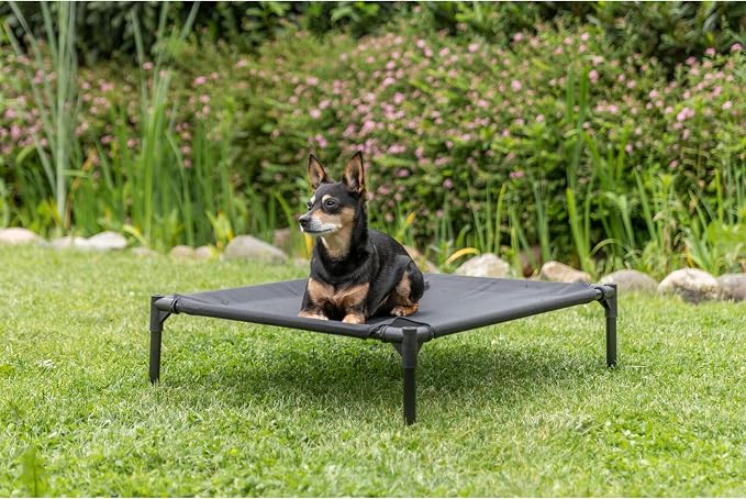 Trixie 2-in-1 Dog House and Bed, Small to Medium - Up to 55 lbs | 30.7 x 24.4 x 32.3-in Portable, Elevated Indoor/Outdoor Cot with Removable Cover, Waterproof and Sun-Resistant Tent