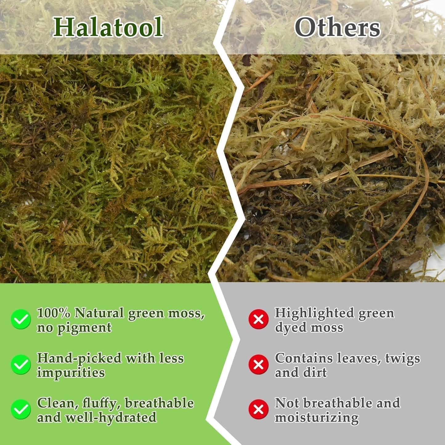 Halatool 9OZ Natural Sphagnum Moss for Reptiles- 14QT Green Live Moss for Terrarium Plants Long Fiber Reptile Moss for Leopard Gecko Snake Hamsters Tortoises Frogs Lizards Salamanders
