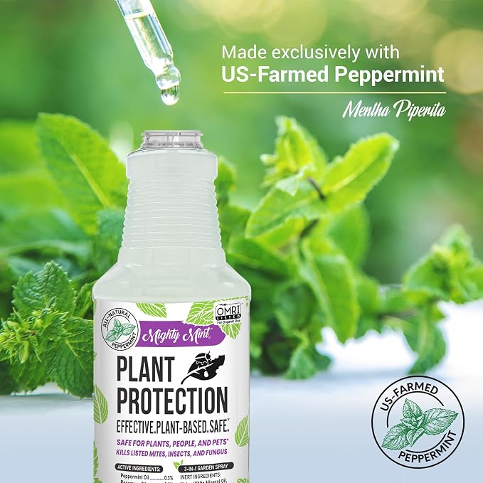 Mighty Mint Peppermint Oil Plant Protection Spray – Insect & Pest Control for Gnats, Spider Mites & Aphids – Plant-Based, Easy-to-Use - 16 oz