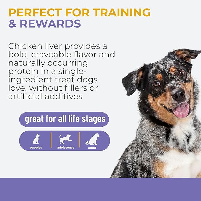 Momentum Carnivore Nutrition Freeze-Dried Chicken Liver Dog Treats & Cat Treats – Single-Ingredient, High-Protein, Grain-Free, Naturally Flavorful – Made in USA – 3.5 oz Bag