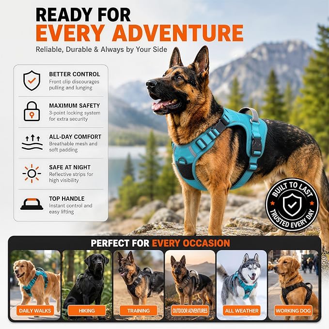 Heavy Duty Dog Harness for X-Large Dogs, No Pull Tactical Reflective Vest | 3 Point Locking Buckles, Dual Leash Clips, Handle, Reflective Strips, Hook & Loop Panel, Metal D Ring, Adjustable (Blue)