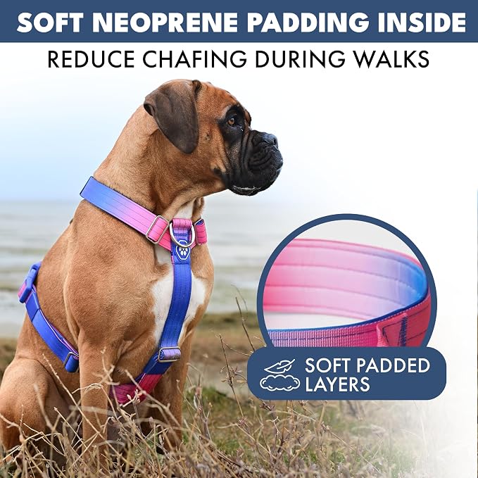 Spark Paws Comfort Control No Pull Dog Harness - Heavy Duty Front Clip | Safety Tested for Strong Breeds, w/ Metal Buckle & Top Handle – Padded Y-Straps Redirect Pulling. Solo or Matching Leash Set