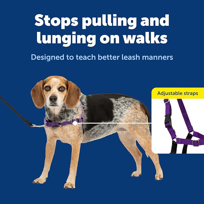 PetSafe Easy Walk Harness, No Pull Dog Harness, Deep Purple, Small/Medium | Patented Martingale Loop Gives Gradual Shoulder Pressure to Stop Pulling, Front-Chest Leash Clip Prevents Gagging