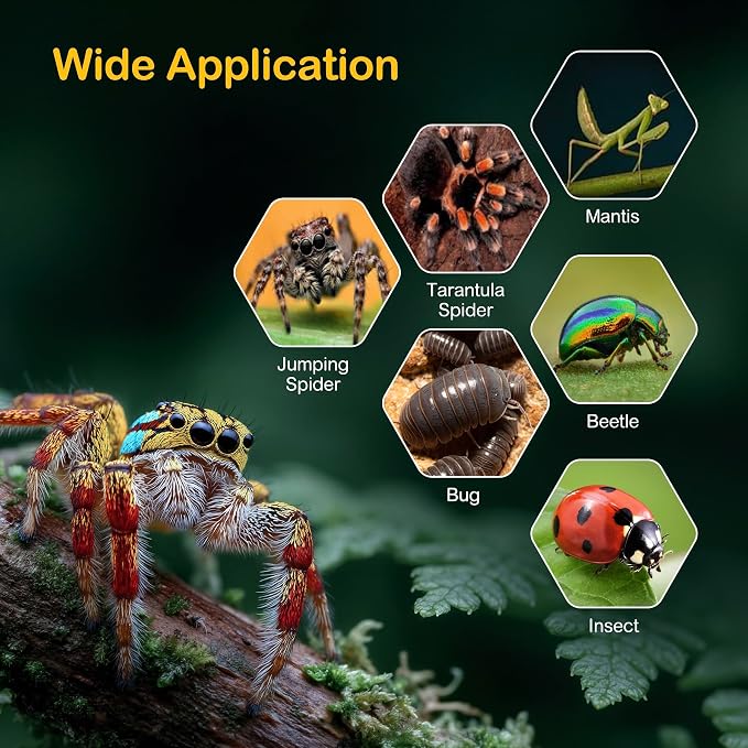 Jumping Spider Enclosure Starter Kit,Escape Proof Ocean Terrarium | Praying Mantis Terrariums,Transparent Acrylic Complete Bug Habitat,All In One Arboreal Tarantula Cribs Cage,Insect Container