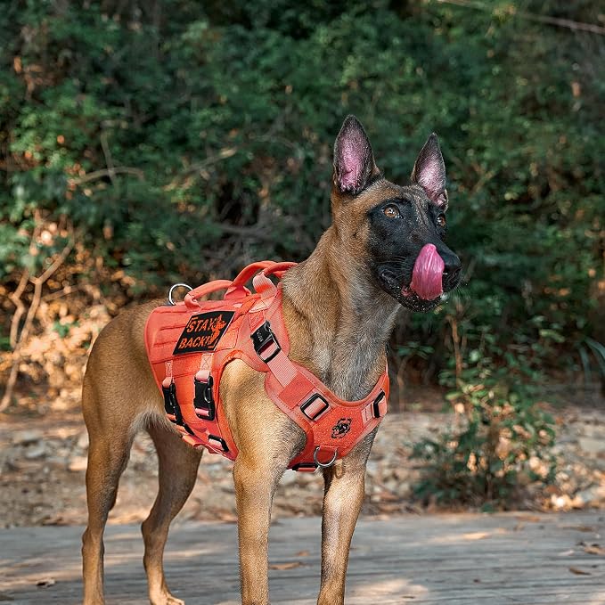 OneTigris Large Tactical Dog Harness, No Pulling Adjustable Dog Vest Harness, Heavy Duty Dog Harness with Handle, Large Hook and Loop Panels for Patch(Orange,S)