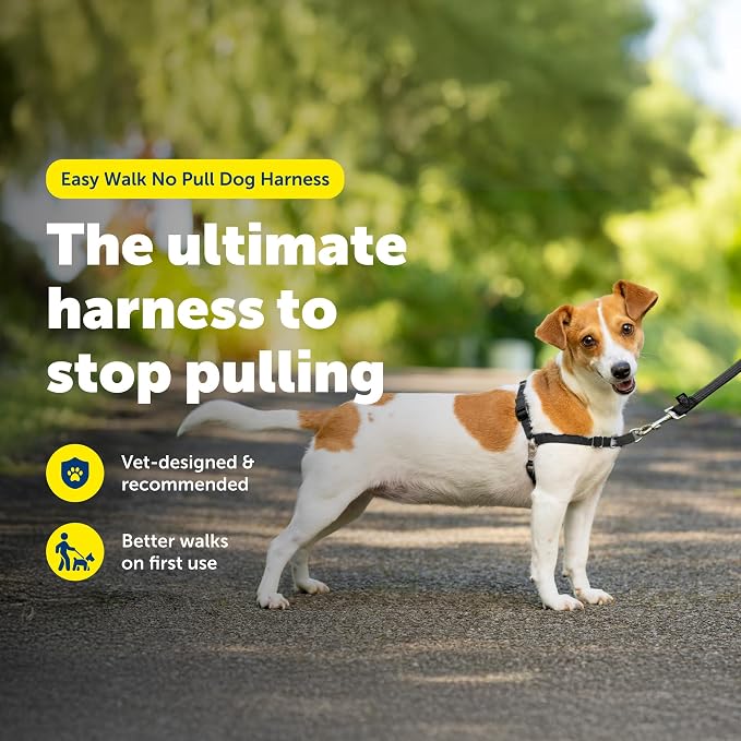 PetSafe Easy Walk Harness, No Pull Dog Harness, Black, Small | Patented Martingale Loop Gives Gradual Shoulder Pressure to Stop Pulling, Front-Chest Leash Clip Prevents Gagging