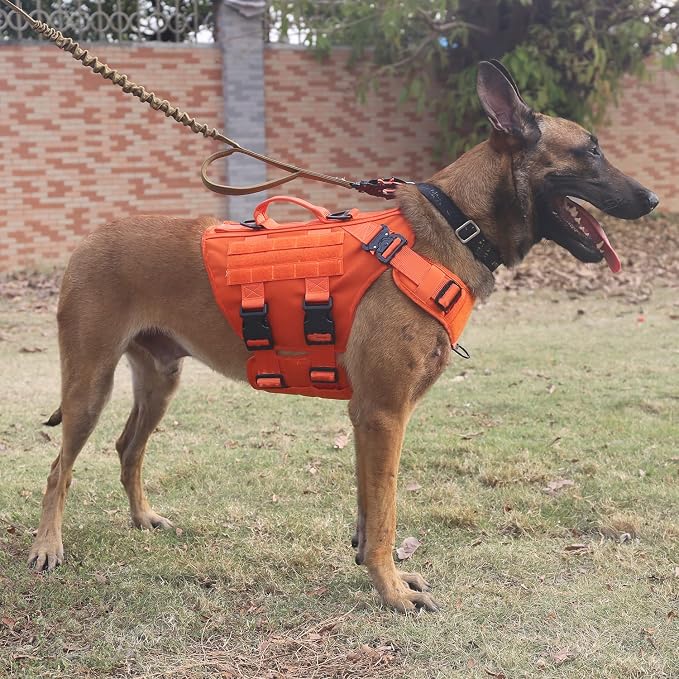 ICEFANG No Pull Tactical Dog Harness for X-Large Dogs,Adjustable Dog Vest | Control Handle,MOLLE Panel,Front Hook,3 Leash Clips,Soft Padded,for walking training,Orange,X-Large
