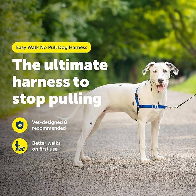 PetSafe Easy Walk Harness, No Pull Dog Harness, Royal Blue, Medium/Large | Patented Martingale Loop Gives Gradual Shoulder Pressure to Stop Pulling, Front-Chest Leash Clip Prevents Gagging