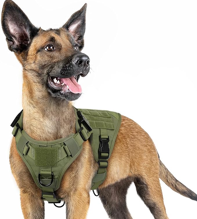 rabbitgoo Tactical Dog Harness for Small, Heavy Duty Military No Pull Vest | Sturdy Metal Buckles, 5 Adjustments, Molle System, Powerful Pullers for Training, Hunting, Outdoor, Green, Small