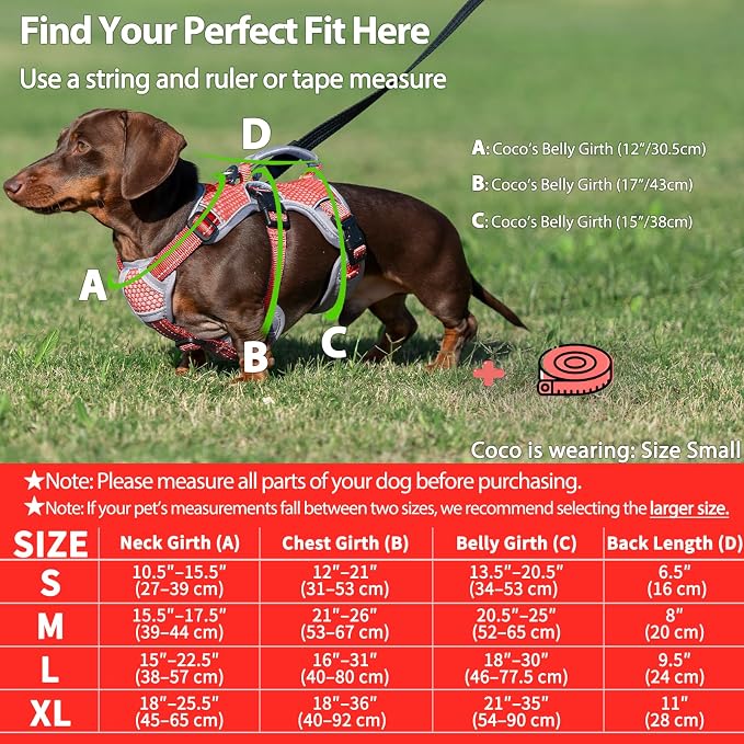 Escape Proof Dog Harness, Dachshund Harness, Reflective Dog Harness with Handle, Durable,Adjustable Vest for Small Medium Large Dogs Walking, Training, and Running Gear (Red,L)