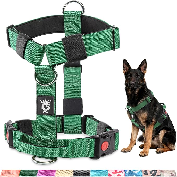 TSPRO Tactical Heavy Duty Dog Harness, Quick Release Buckle & Top Handle | Premium No Pull Dog Vest Harnesses, Adjustable, Soft Padded Lining, 1.25-Inch Wide for Medium Large Dogs, Walking & Training