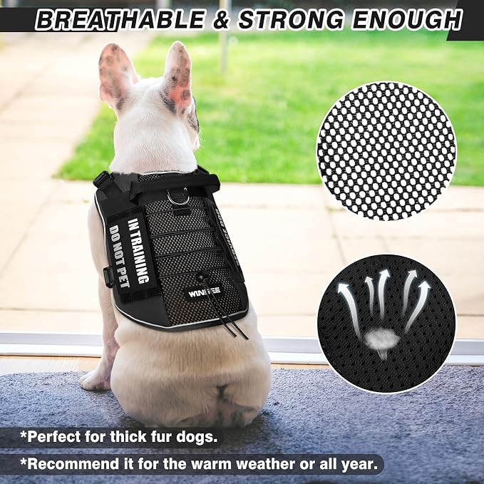 Service Dog in Training Mesh Harness with 10 Removale Pet Patches | Breathable material, adjustable straps, reflective trim, lightweight but durable, great for training, walks, and outings