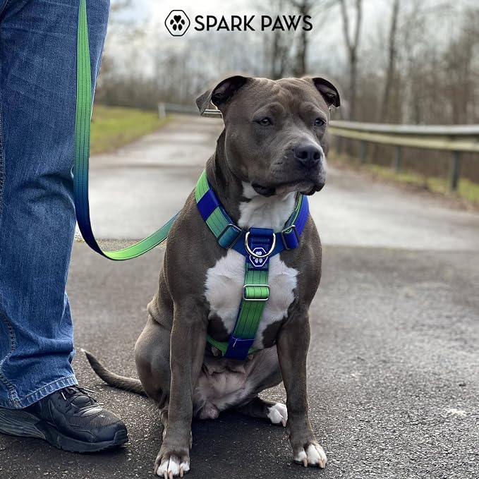 Spark Paws Comfort Control No Pull Dog Harness - Heavy Duty Front Clip | Safety Tested for Strong Breeds, w/ Metal Buckle & Top Handle – Padded Y-Straps Redirect Pulling. Solo or Matching Leash Set