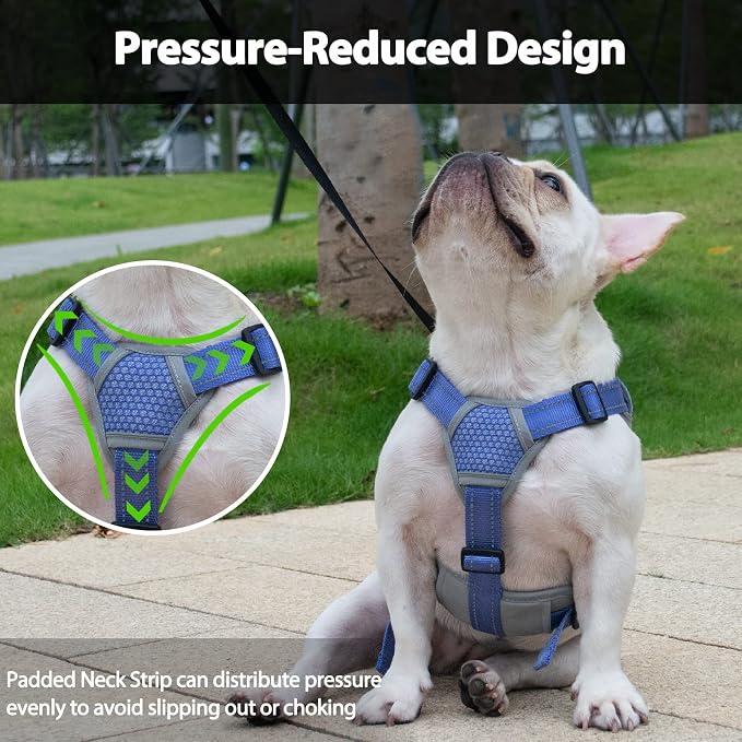 Escape Proof Dog Harness, Dachshund Harness, Reflective Dog Harness with Handle, Durable,Adjustable Vest for Small Medium Large Dogs Walking, Training, and Running Gear (Technicolor Blue,L)