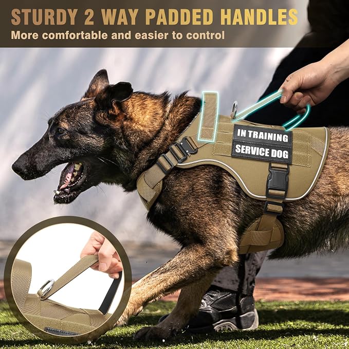 2X Metal Buckle Service Working MOLLE Dog Vest with 10 Pet Patches | Tactical Dog Harness for Large Dog, No-pull Military Working Vest for Training Hunting Walking，2x D Rings for Leash Clip
