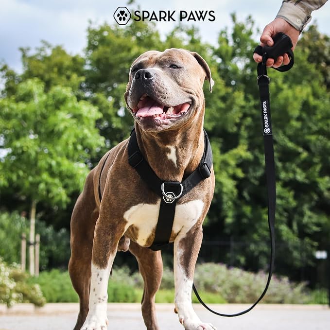 Spark Paws Comfort Control No Pull Dog Harness - Heavy Duty Front Clip | Safety Tested for Strong Breeds, w/ Metal Buckle & Top Handle – Padded Y-Straps Redirect Pulling. Solo or Matching Leash Set
