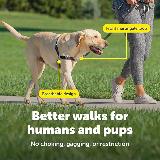 PetSafe Easy Walk Harness for Dogs - Pull-Free Walks - Patented Martingale Loop Design - Front Chest Leash Attachment - Comfort Straps - Breathable Harness Design - Large, Red/Black | Patented Martingale Loop Gives Gradual Shoulder Pressure to Stop Pul...