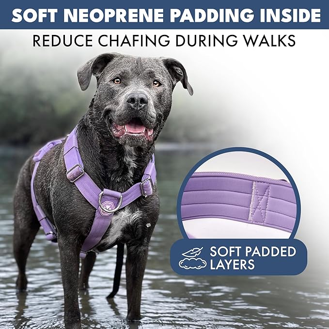 Spark Paws Comfort Control No Pull Dog Harness - Heavy Duty Front Clip | Safety Tested for Strong Breeds, w/ Metal Buckle & Top Handle – Padded Y-Straps Redirect Pulling. Solo or Matching Leash Set