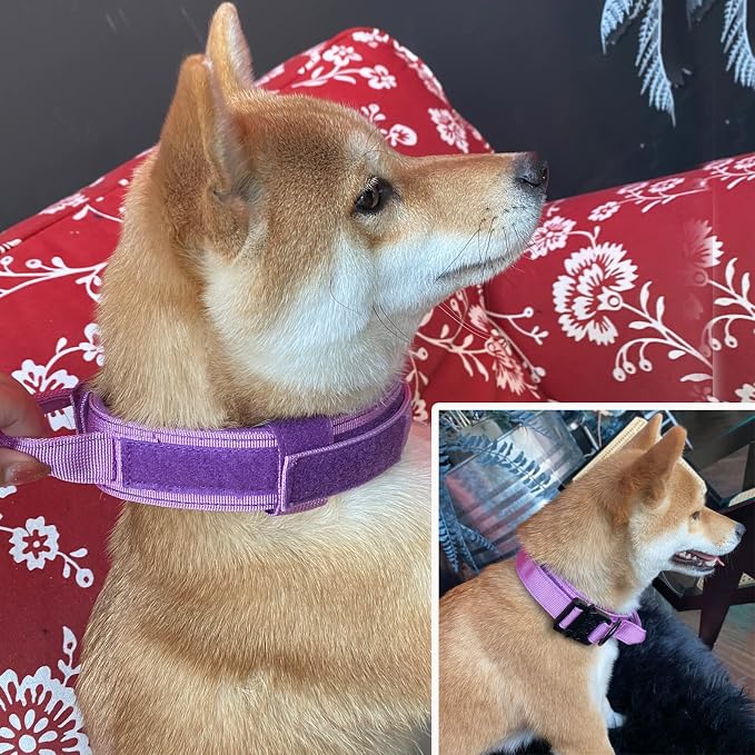 Tactical Dog Collar for Large Dogs with Control Handle,Purple,XXL | 1000D Heavy-Duty Nylon Fabric,Quick-Release Metal Buckle,Adjustable Fit,Soft-Padded Webbing,D-Ring,for Training & Hiking
