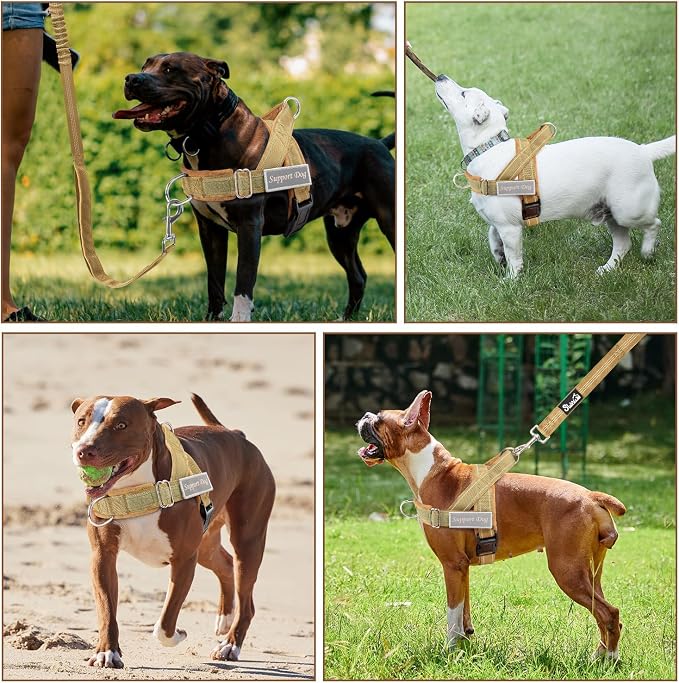 SlowTon No Pull Dog Harness with Front Clip - Heavy Duty, Soft Padded | Neck & Chest Adjustable, Tactical Pet Vest and Leash Set for Large Medium Sized Dogs, for Easy Walk & Training, Tan S