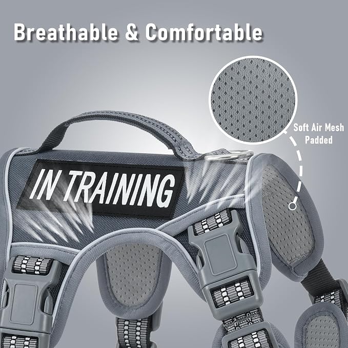 AUNZO No-Pull Dog Harness for Small Dog Breeds, Anti-Escape Easy Walking Reflective Adjustable Lightweight Dog Vest with Breathable Oxford Material, Easy on Easy Off with Neck Buckle, Gray XS