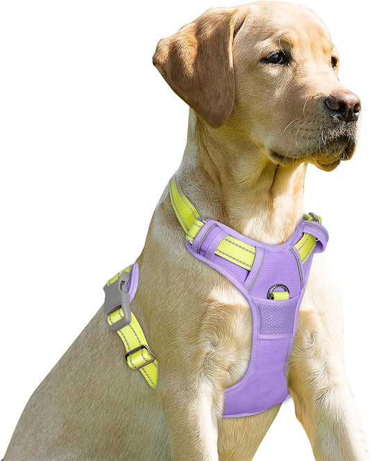 BARKBAY Dog Harness No Pull for Large Dogs Front Back Clips,Dog Vest | Soft Padded No Choke With Handle,Easy On&Off,Adjustable Reflective For Walking Training Running(Violet Purple & Sunlight,L)