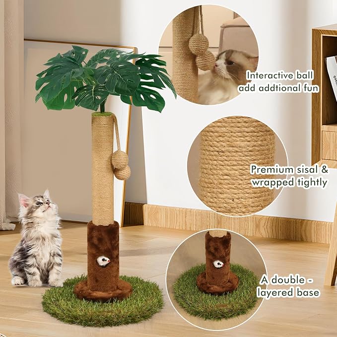 Woochpet Cat Scratching Post for Indoor Cats and Kitten - 24.8" Tall Cat Scratching Post with Sisal Rope,Palm Tree Cat Scratch Post with Hanging Ball, Small Brown